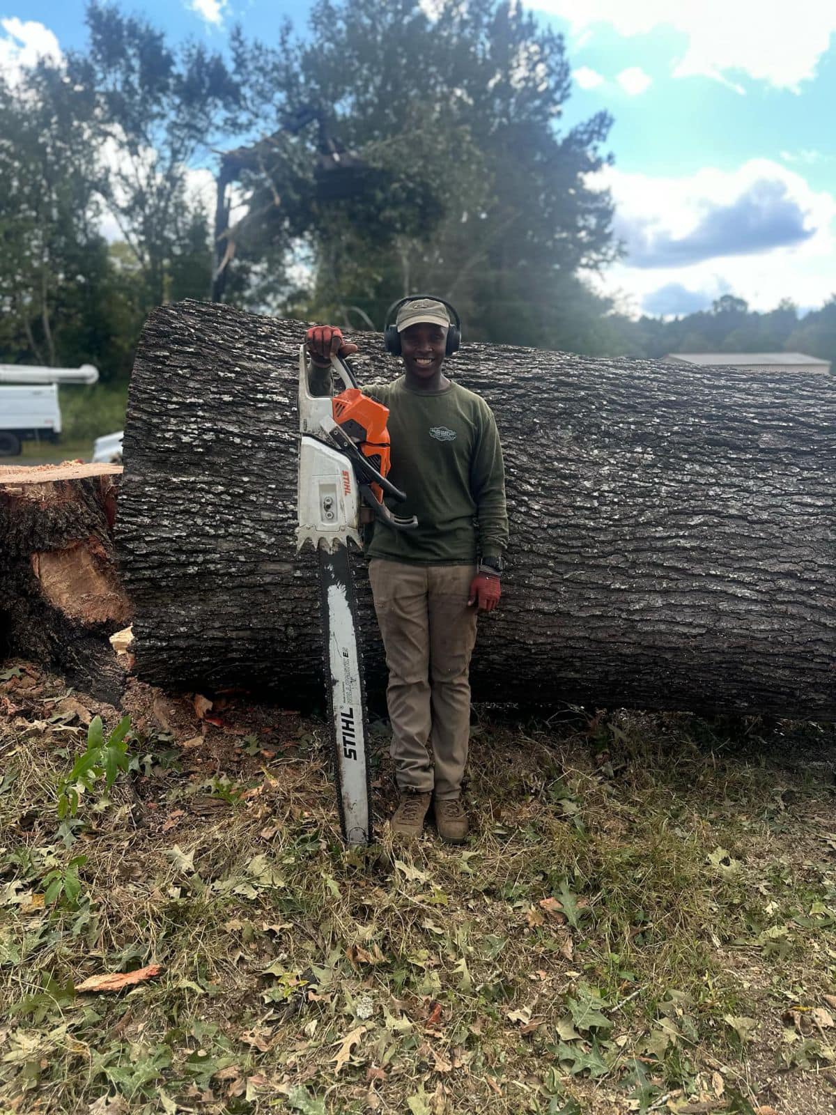 Massive Tree Removal Preformed in Alvin, SC 